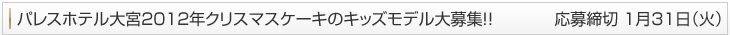 �N���X�}�X�P�[�L�L�b�Y���f���@�^�C�g��