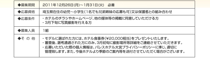 �N���X�}�X�P�[�L�L�b�Y���f���@�ڍ�