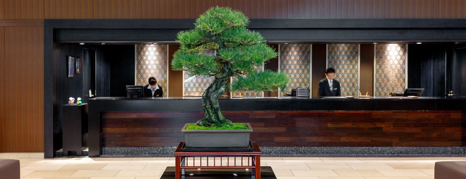 OMIYA BONSAI