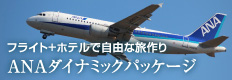 ANAダイナミックパッケージ