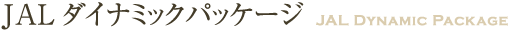 JAL_Ci~bNpbP[W