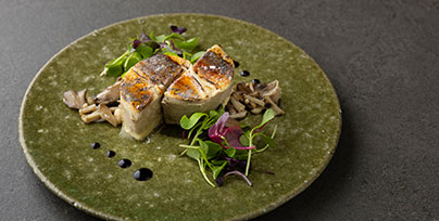 おすすめポイント