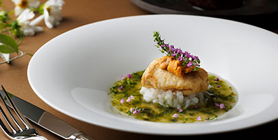 おすすめポイント