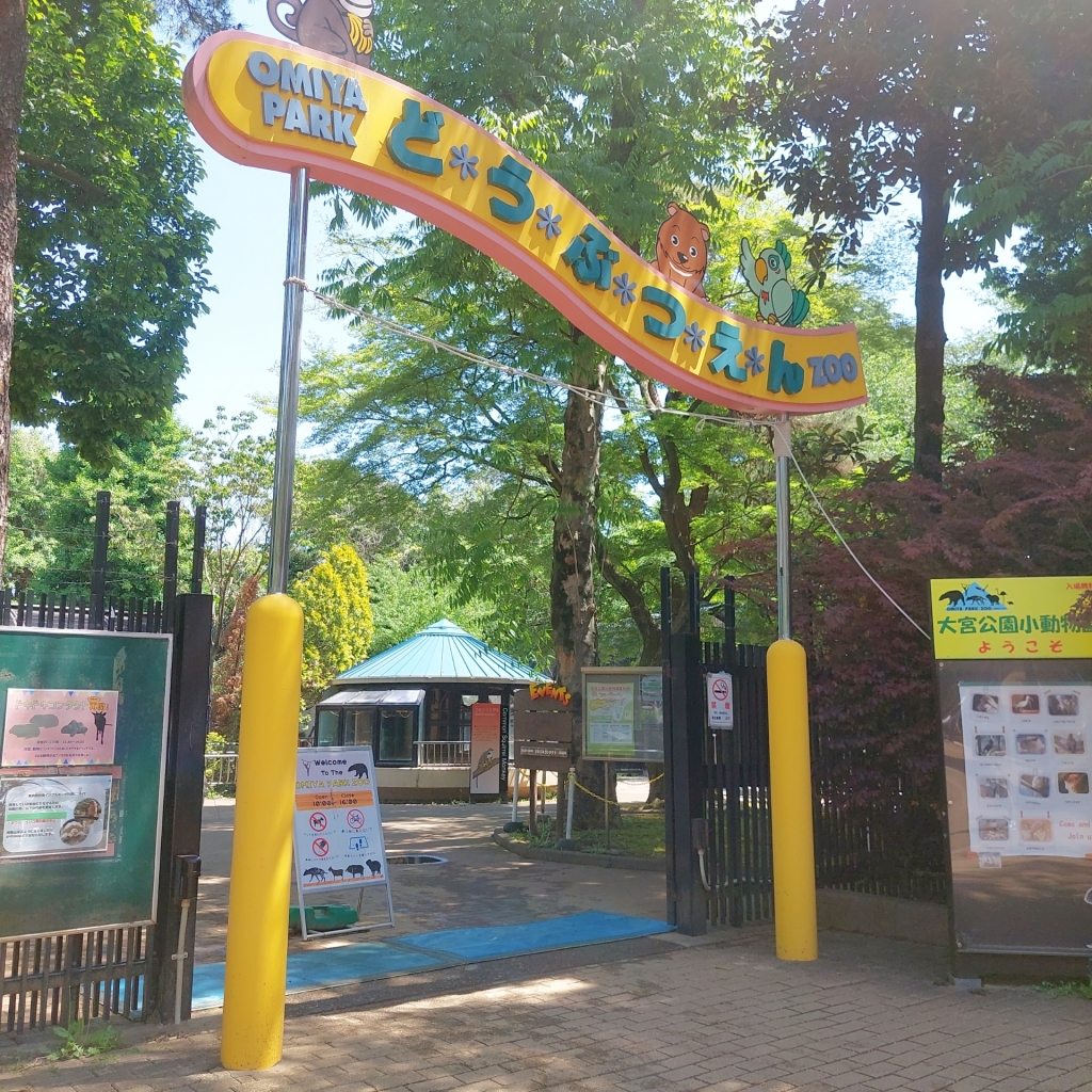 アウェイツーリズム‼アウェイ遠征ついでに大宮観光
