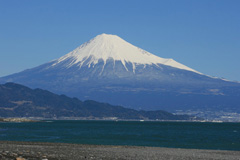 Mt. Fuji